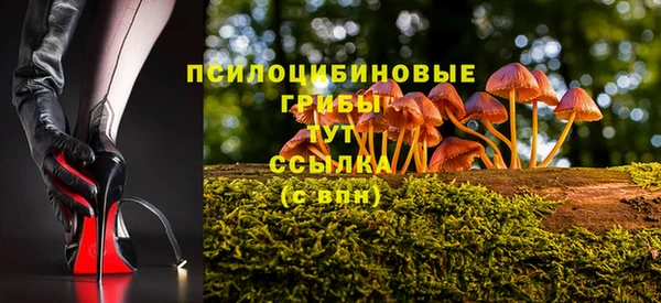 ALPHA PVP Заволжье