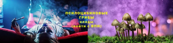 мескалин Заводоуковск