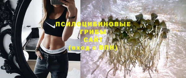 ALPHA PVP Заволжье